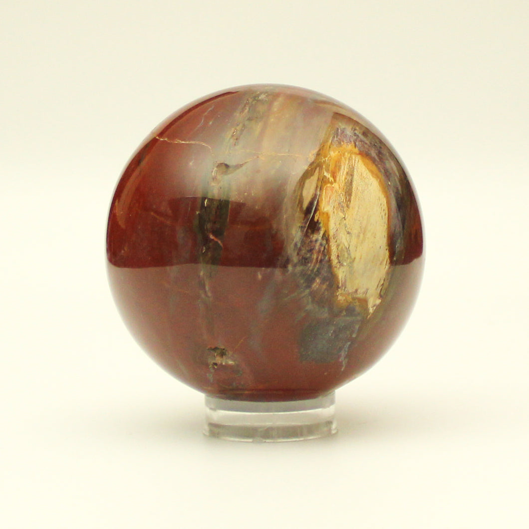 Sfera Legno fossile