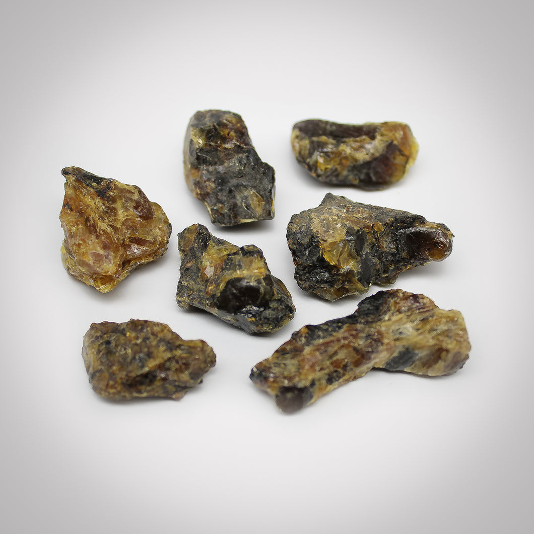 Grezza Ambra giovane